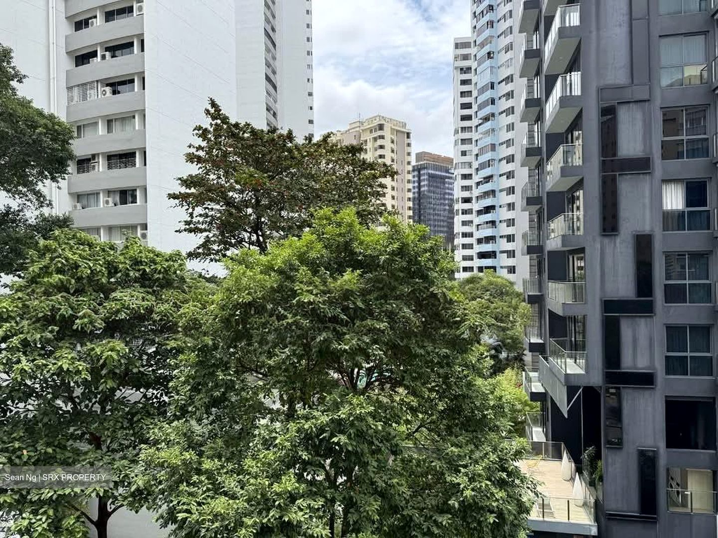 Elizabeth Heights (D9), Condominium #566317241